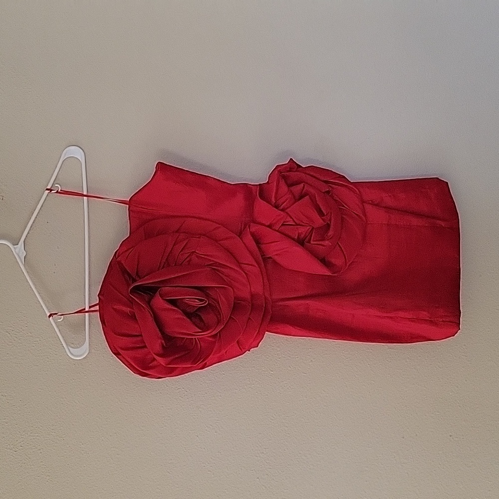 ROSETTE MINI DRESS (Zara Like)